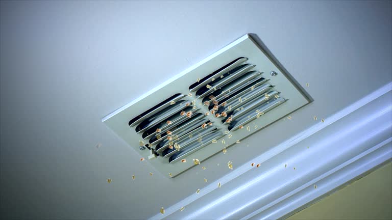 Best Commercial Air Duct Cleaning  in Crawfordsville, IN